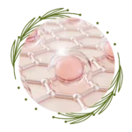 Ceramides