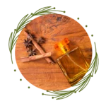 Oriental (Amber/Spicy)
